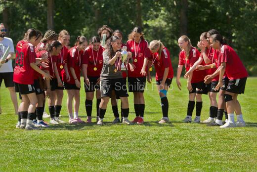 AIF - BSF u 16 p