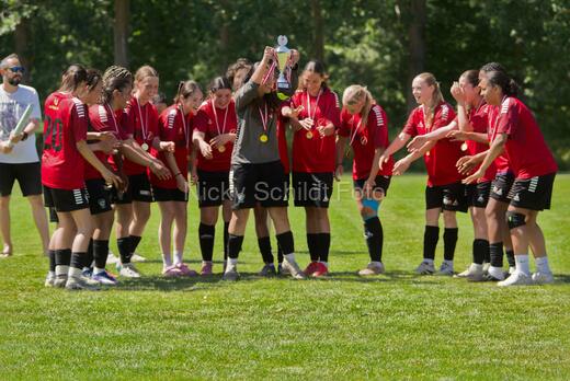 AIF - BSF u 16 p