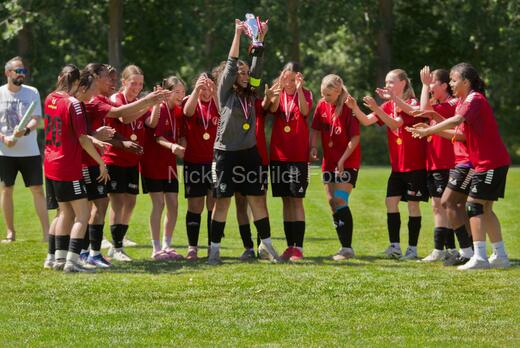 AIF - BSF u 16 p