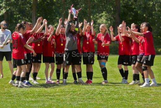 AIF - BSF u 16 p