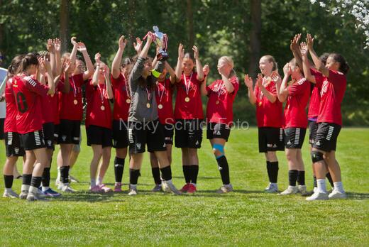 AIF - BSF u 16 p