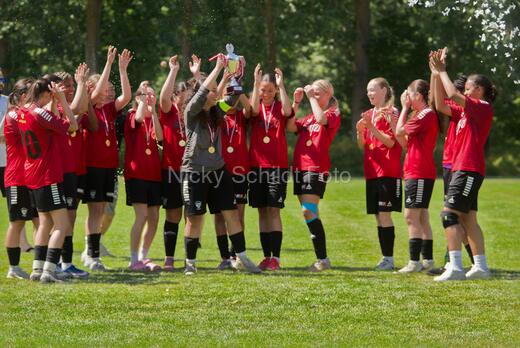 AIF - BSF u 16 p