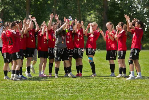 AIF - BSF u 16 p