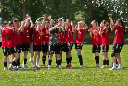 AIF - BSF u 16 p