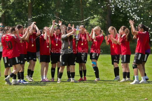 AIF - BSF u 16 p