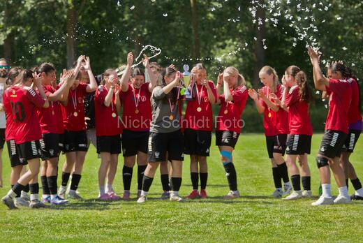 AIF - BSF u 16 p