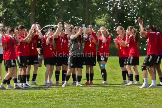 AIF - BSF u 16 p