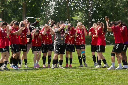 AIF - BSF u 16 p