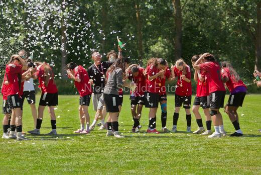 AIF - BSF u 16 p