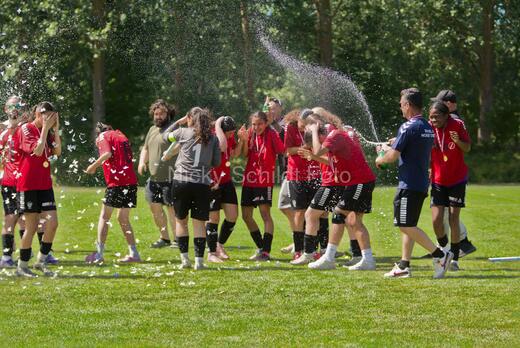 AIF - BSF u 16 p