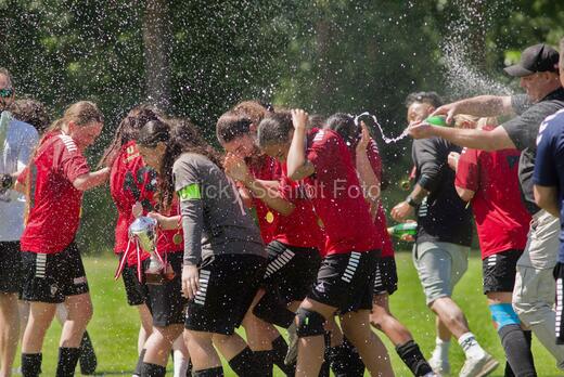 AIF - BSF u 16 p