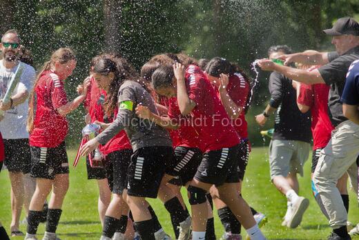 AIF - BSF u 16 p
