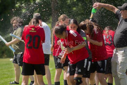AIF - BSF u 16 p