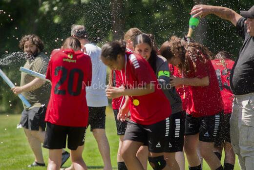 AIF - BSF u 16 p