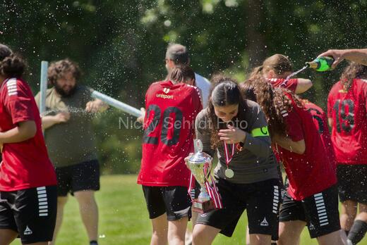 AIF - BSF u 16 p
