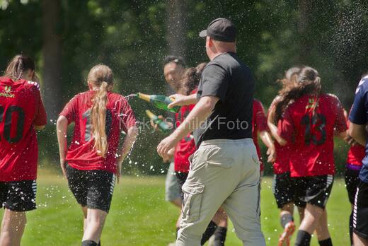 AIF - BSF u 16 p