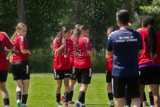 AIF - BSF u 16 p