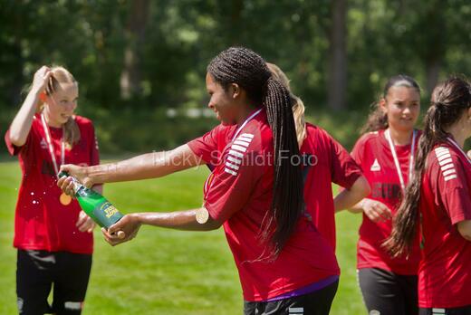 AIF - BSF u 16 p