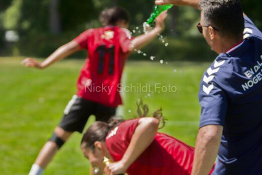 AIF - BSF u 16 p