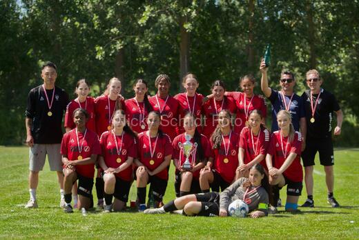 AIF - BSF u 16 p