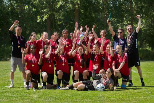 AIF - BSF u 16 p