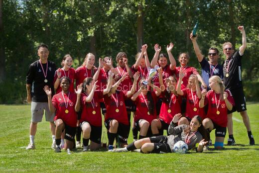 AIF - BSF u 16 p
