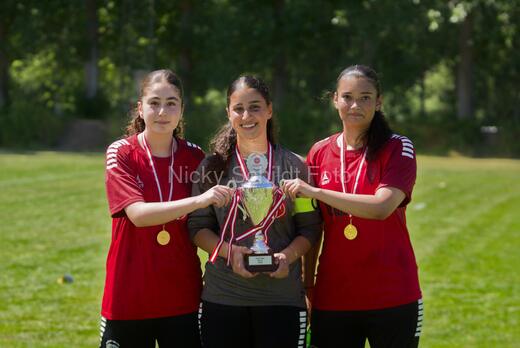 AIF - BSF u 16 p
