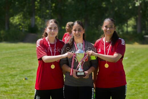 AIF - BSF u 16 p