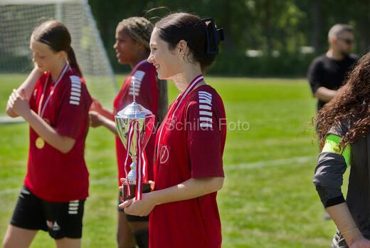AIF - BSF u 16 p