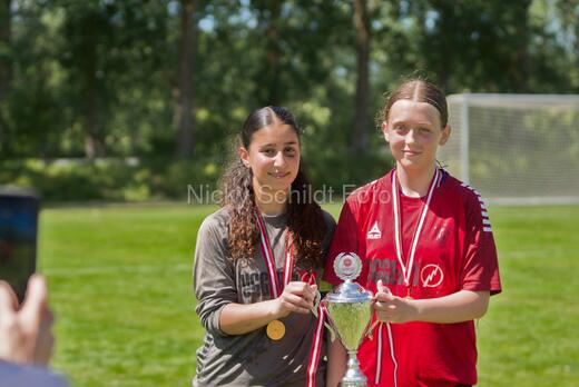AIF - BSF u 16 p