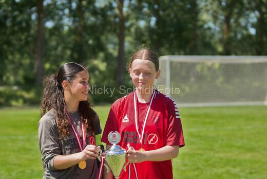 AIF - BSF u 16 p