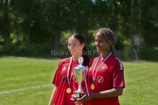 AIF - BSF u 16 p