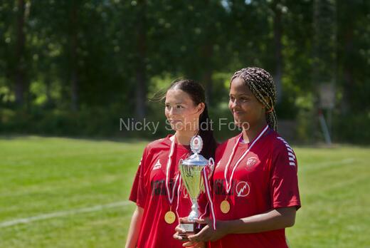 AIF - BSF u 16 p
