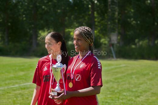 AIF - BSF u 16 p