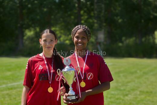 AIF - BSF u 16 p