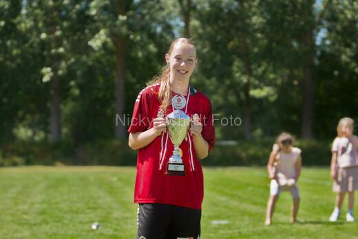 AIF - BSF u 16 p