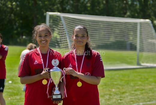 AIF - BSF u 16 p