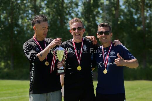 AIF - BSF u 16 p