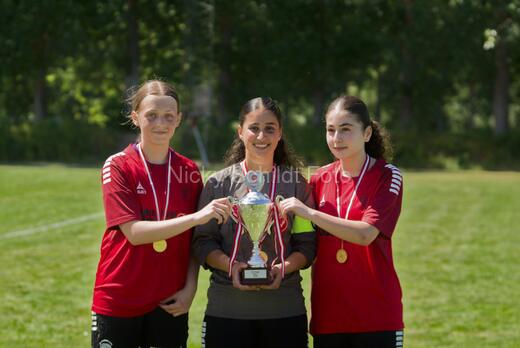 AIF - BSF u 16 p