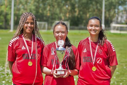 AIF - BSF u 16 p
