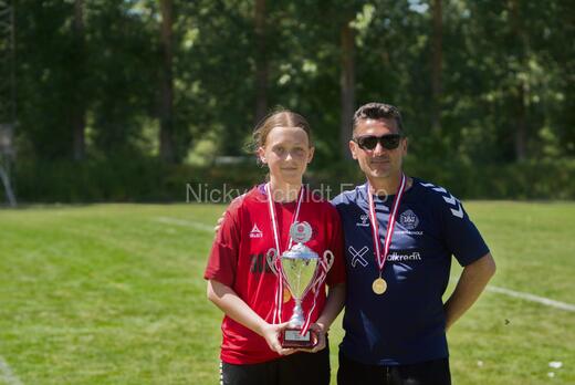 AIF - BSF u 16 p