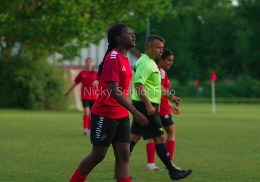 Albertslund IF - Orient/Ejby IF