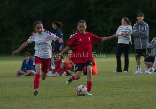 Albertslund IF - Orient/Ejby IF
