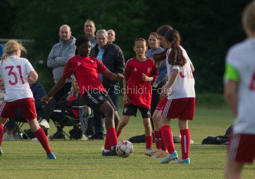 Albertslund IF - Orient/Ejby IF