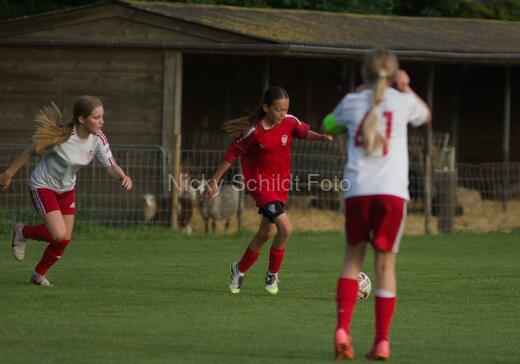 Albertslund IF - Orient/Ejby IF