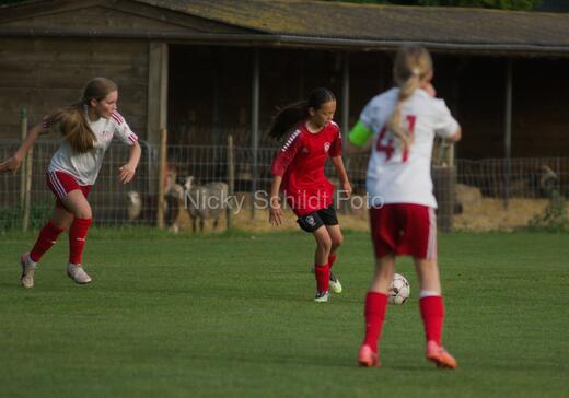 Albertslund IF - Orient/Ejby IF