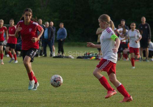 Albertslund IF - Orient/Ejby IF