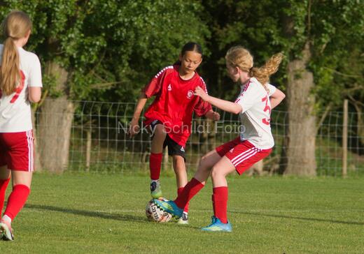 Albertslund IF - Orient/Ejby IF