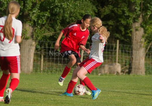 Albertslund IF - Orient/Ejby IF