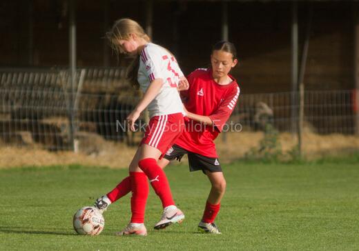Albertslund IF - Orient/Ejby IF